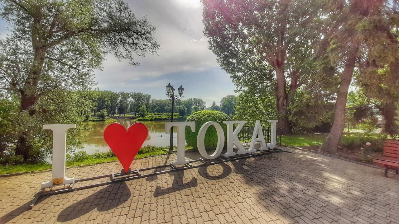 Hotel Kelep Токай Экстерьер фото